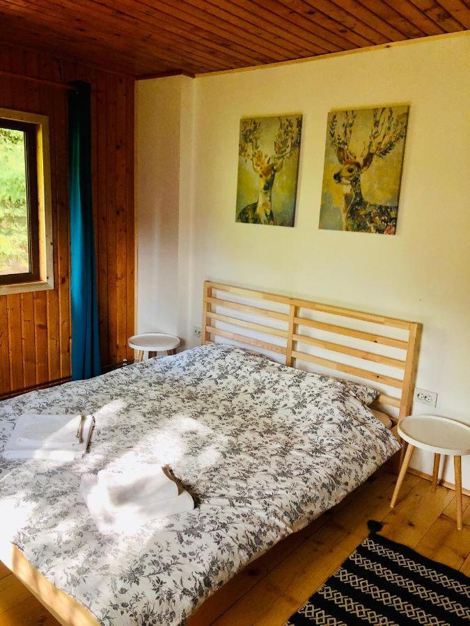 Conacul Secaria Villa Bagian luar foto