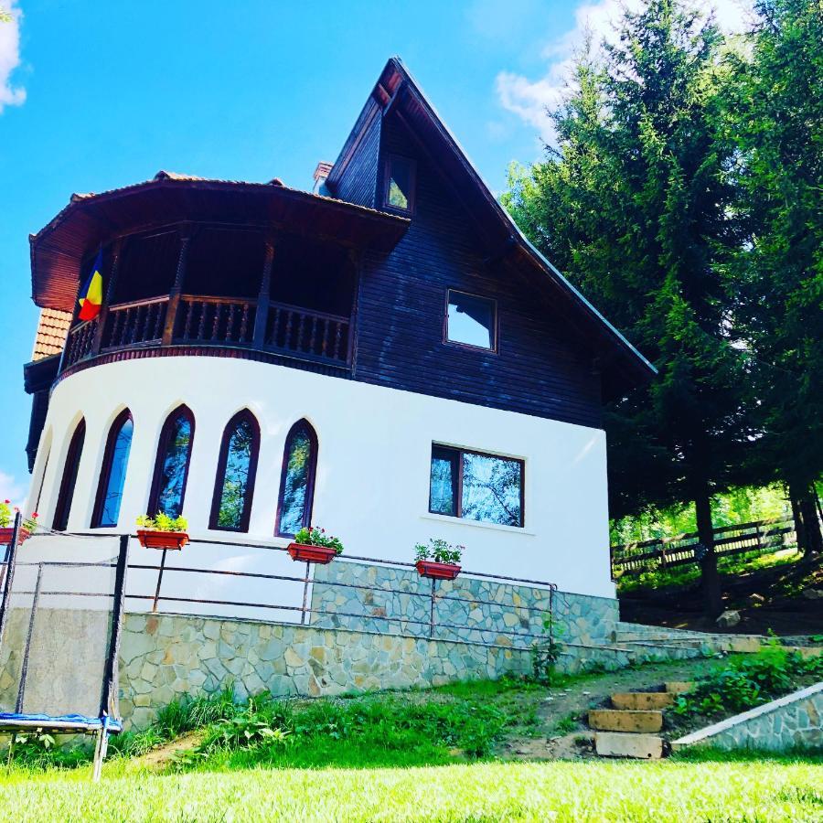 Conacul Secaria Villa Bagian luar foto